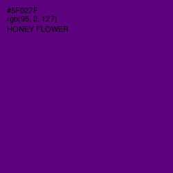 #5F027F - Honey Flower Color Image