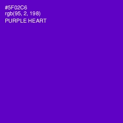 #5F02C6 - Purple Heart Color Image
