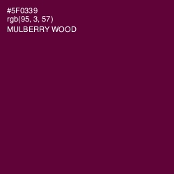 #5F0339 - Mulberry Wood Color Image