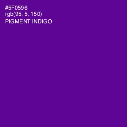 #5F0596 - Pigment Indigo Color Image