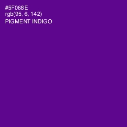 #5F068E - Pigment Indigo Color Image