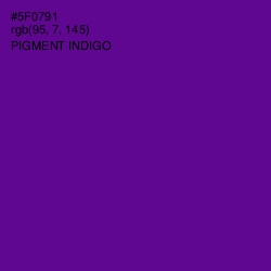 #5F0791 - Pigment Indigo Color Image