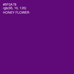 #5F0A78 - Honey Flower Color Image