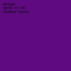 #5F0A81 - Pigment Indigo Color Image
