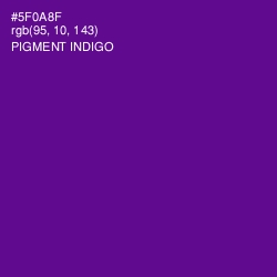 #5F0A8F - Pigment Indigo Color Image