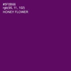 #5F0B66 - Honey Flower Color Image