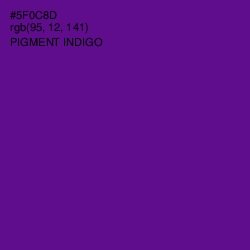 #5F0C8D - Pigment Indigo Color Image
