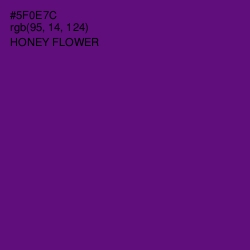 #5F0E7C - Honey Flower Color Image