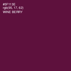 #5F113E - Wine Berry Color Image