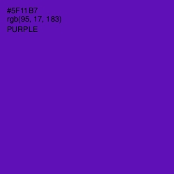 #5F11B7 - Purple Color Image