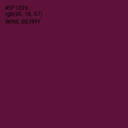 #5F1239 - Wine Berry Color Image
