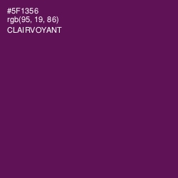 #5F1356 - Clairvoyant Color Image