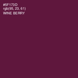 #5F173D - Wine Berry Color Image