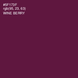 #5F173F - Wine Berry Color Image