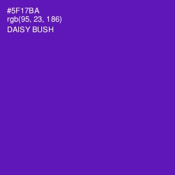 #5F17BA - Daisy Bush Color Image
