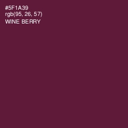 #5F1A39 - Wine Berry Color Image