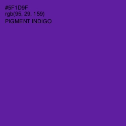 #5F1D9F - Pigment Indigo Color Image