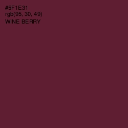 #5F1E31 - Wine Berry Color Image