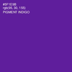 #5F1E9B - Pigment Indigo Color Image
