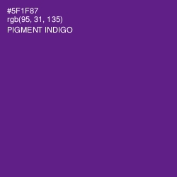 #5F1F87 - Pigment Indigo Color Image