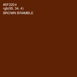 #5F2204 - Brown Bramble Color Image
