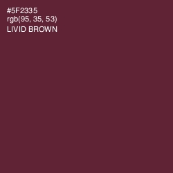 #5F2335 - Livid Brown Color Image