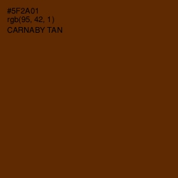 #5F2A01 - Carnaby Tan Color Image