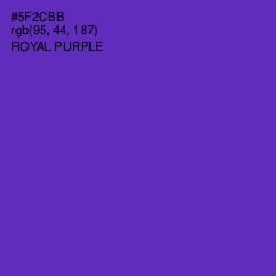 #5F2CBB - Royal Purple Color Image