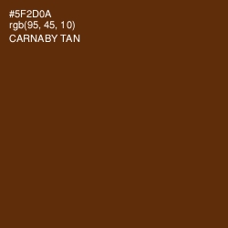 #5F2D0A - Carnaby Tan Color Image