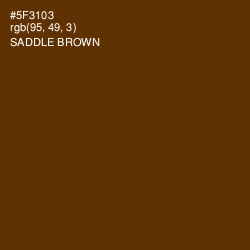 #5F3103 - Saddle Brown Color Image