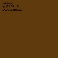 #5F3A0C - Saddle Brown Color Image