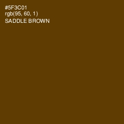#5F3C01 - Saddle Brown Color Image