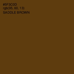 #5F3C0D - Saddle Brown Color Image