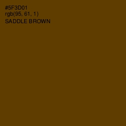 #5F3D01 - Saddle Brown Color Image