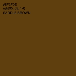 #5F3F0E - Saddle Brown Color Image