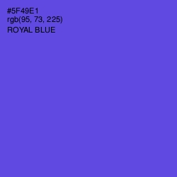 #5F49E1 - Royal Blue Color Image