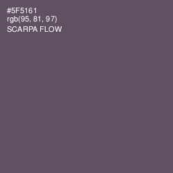 #5F5161 - Scarpa Flow Color Image