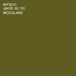 #5F5C21 - Woodland Color Image