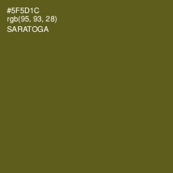 #5F5D1C - Saratoga Color Image