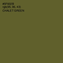 #5F602B - Chalet Green Color Image