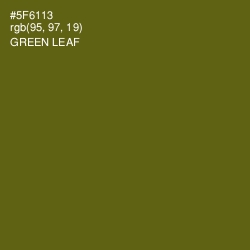 #5F6113 - Green Leaf Color Image