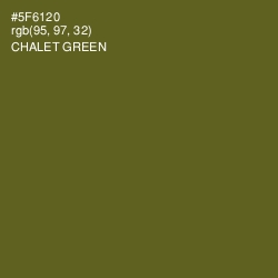 #5F6120 - Chalet Green Color Image