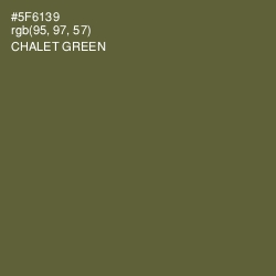 #5F6139 - Chalet Green Color Image