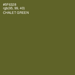#5F6328 - Chalet Green Color Image