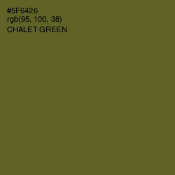 #5F6426 - Chalet Green Color Image