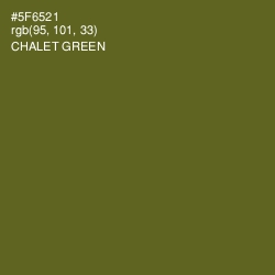 #5F6521 - Chalet Green Color Image