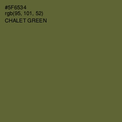 #5F6534 - Chalet Green Color Image