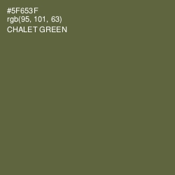 #5F653F - Chalet Green Color Image