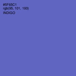 #5F65C1 - Indigo Color Image