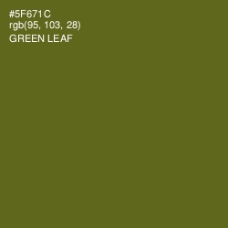 #5F671C - Green Leaf Color Image